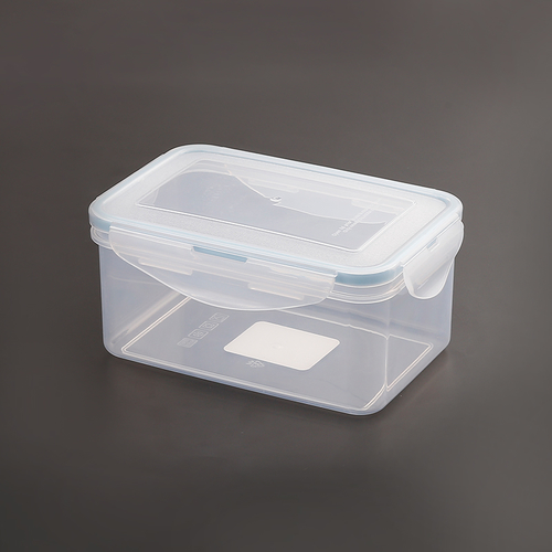 Square Transparent Plastic Lunch Box